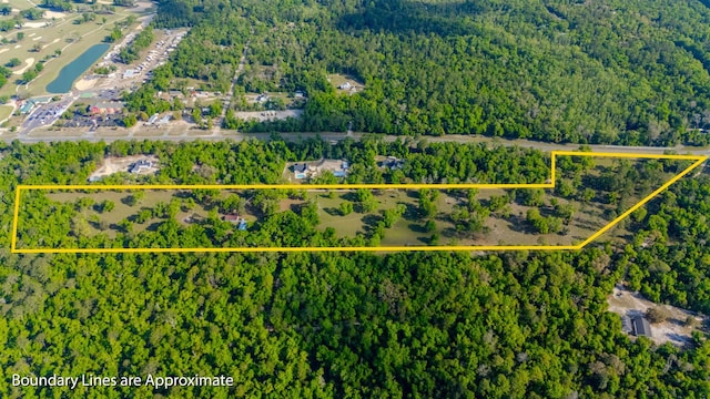 4025 Coastal Hwy, Crawfordville, FL 32327 - photo 2