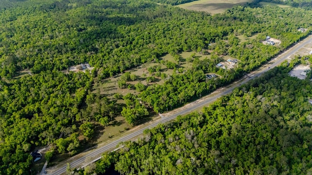 4025 Coastal Hwy, Crawfordville, FL 32327 - photo 19