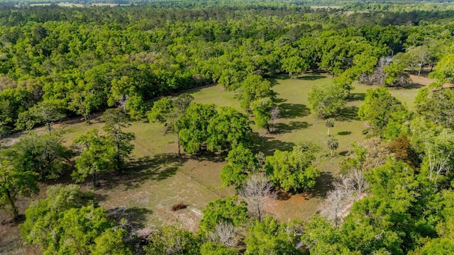 4025 Coastal Hwy, Crawfordville, FL 32327 - photo 22