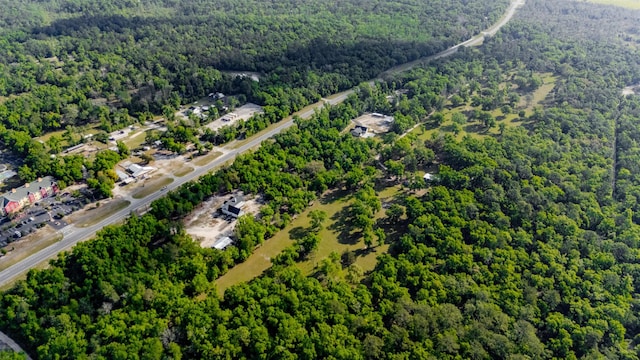 4025 Coastal Hwy, Crawfordville, FL 32327 - photo 16