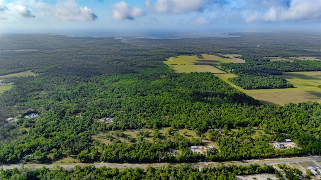 4025 Coastal Hwy, Crawfordville, FL 32327 - photo 23
