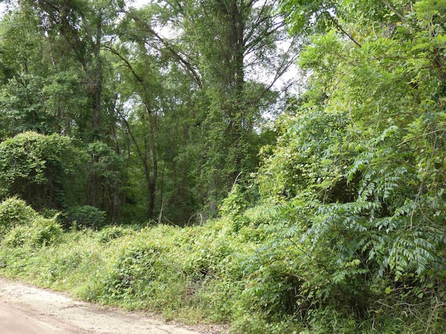 TBD E 2nd Way, Greenville, FL 32331 - photo 3