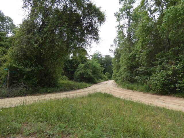 TBD E 2nd Way, Greenville, FL 32331 - photo 7