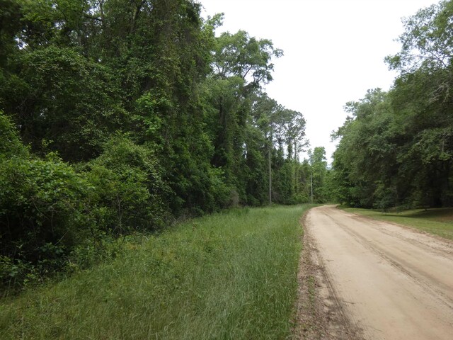 TBD E 2nd Way, Greenville, FL 32331 - photo 5