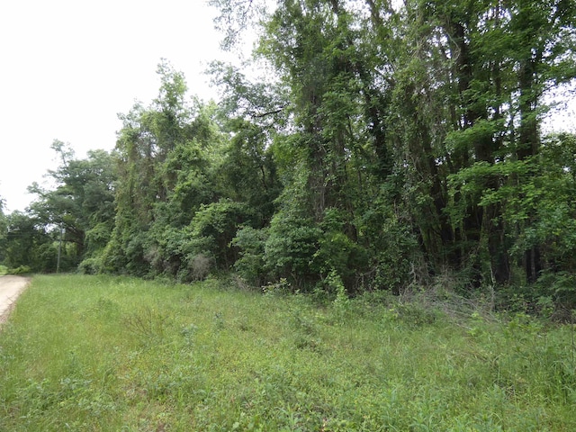 TBD E 2nd Way, Greenville FL, 32331 land for sale