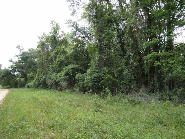 TBD E 2nd Way, Greenville, FL 32331 - photo 1