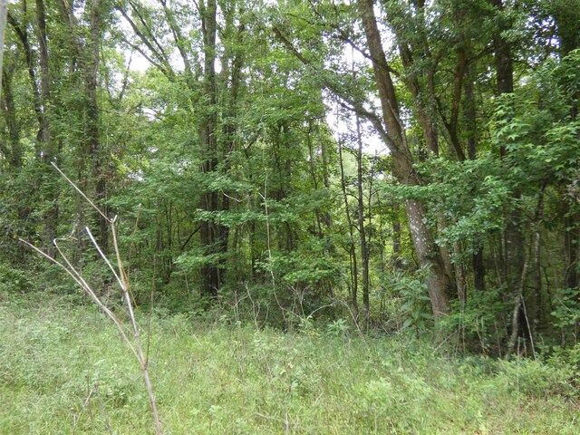 TBD E 2nd Way, Greenville, FL 32331 - photo 4