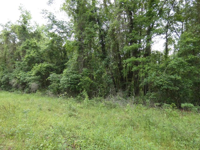 TBD E 2nd Way, Greenville, FL 32331 - photo 8