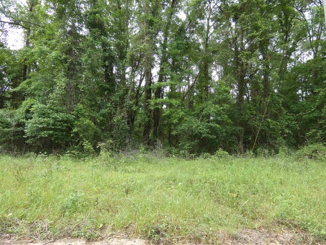 TBD E 2nd Way, Greenville, FL 32331 - photo 6