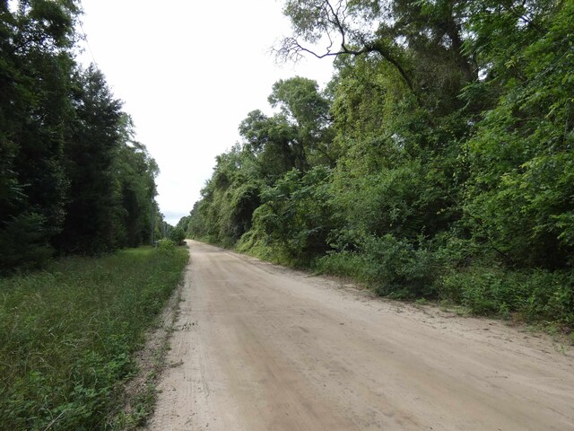 TBD E 2nd Way, Greenville, FL 32331 - photo 2