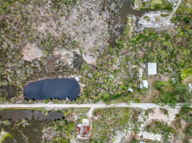 62 SW 284th Ave, Steinhatchee, FL 32359