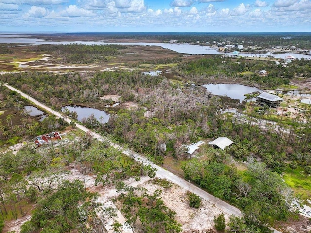 62 SW 284th Ave, Steinhatchee, FL 32359