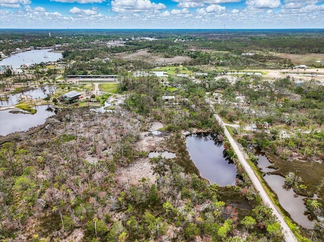 62 SW 284th Ave, Steinhatchee, FL 32359