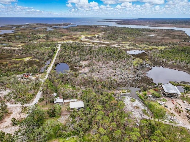 62 SW 284th Ave, Steinhatchee, FL 32359