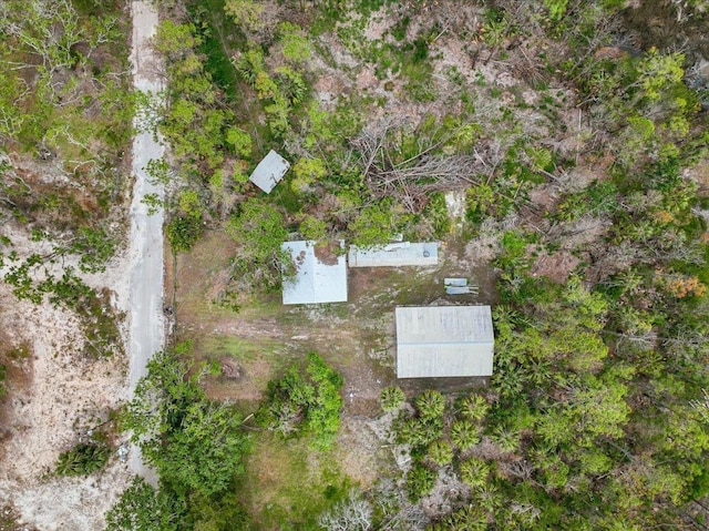 62 SW 284th Ave, Steinhatchee, FL 32359