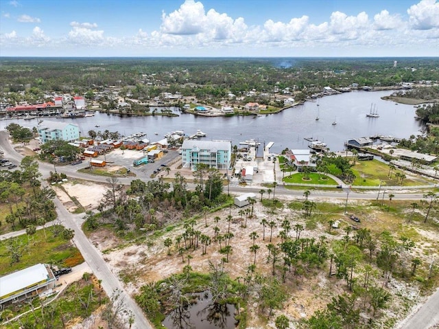 62 SW 284th Ave, Steinhatchee, FL 32359