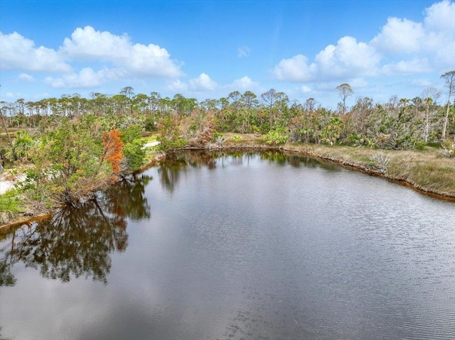 62 SW 284th Ave, Steinhatchee, FL 32359