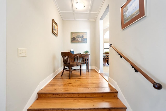 stairs with hardwood / wood-style flooring