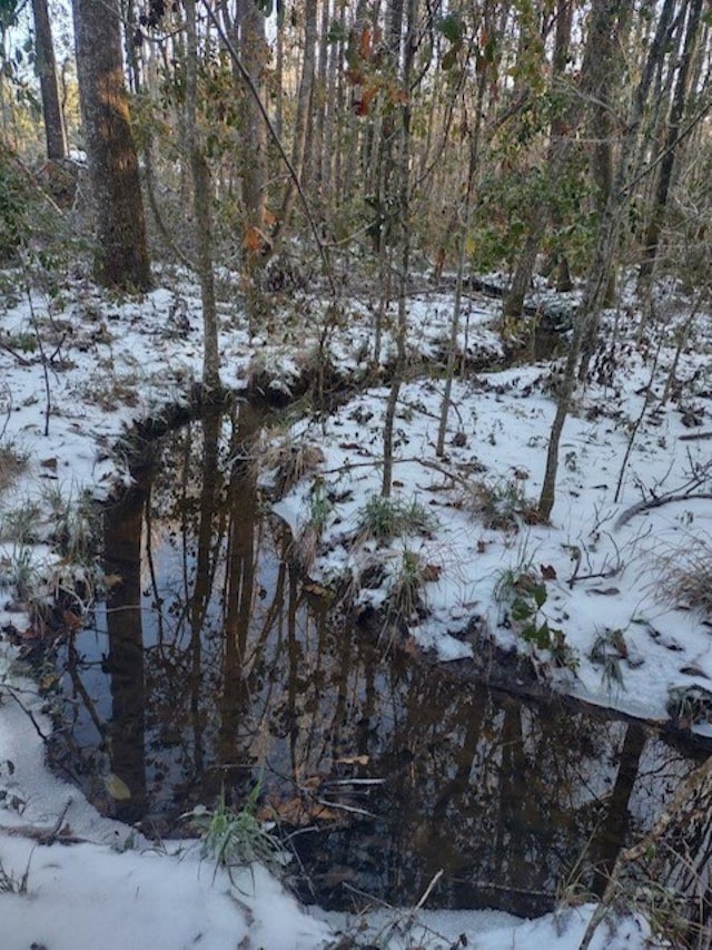 view of snowy landscape