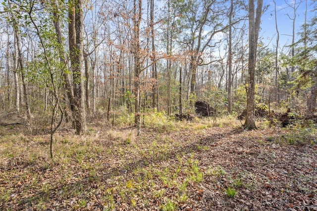 view of local wilderness