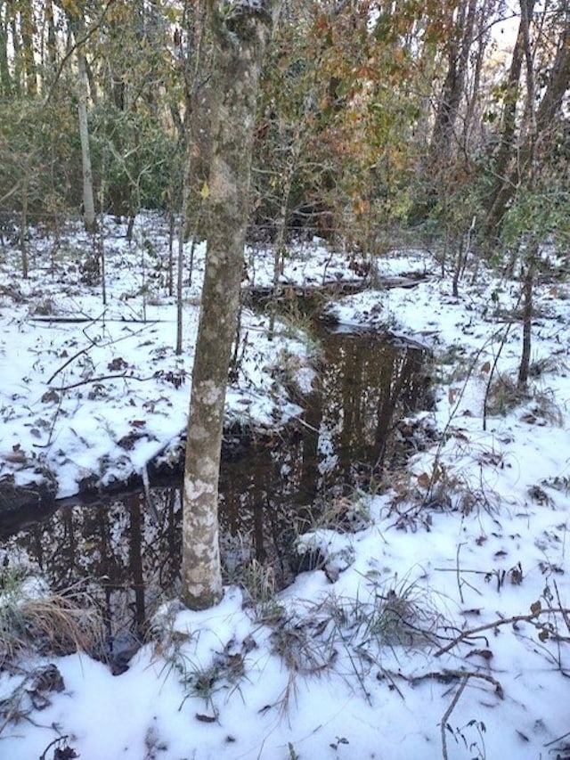 view of snow covered land