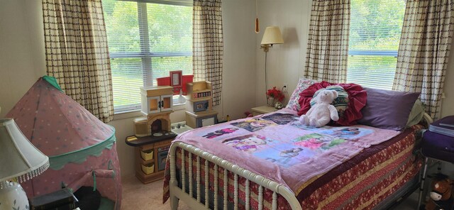 195 SE Emma Pl, Lake City, FL 32025 - photo 9