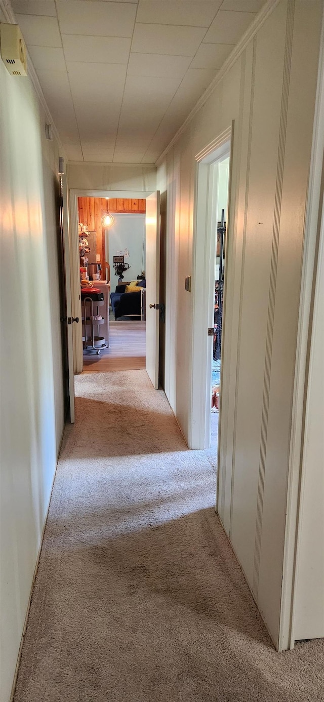 195 SE Emma Pl, Lake City, FL 32025 - photo 12