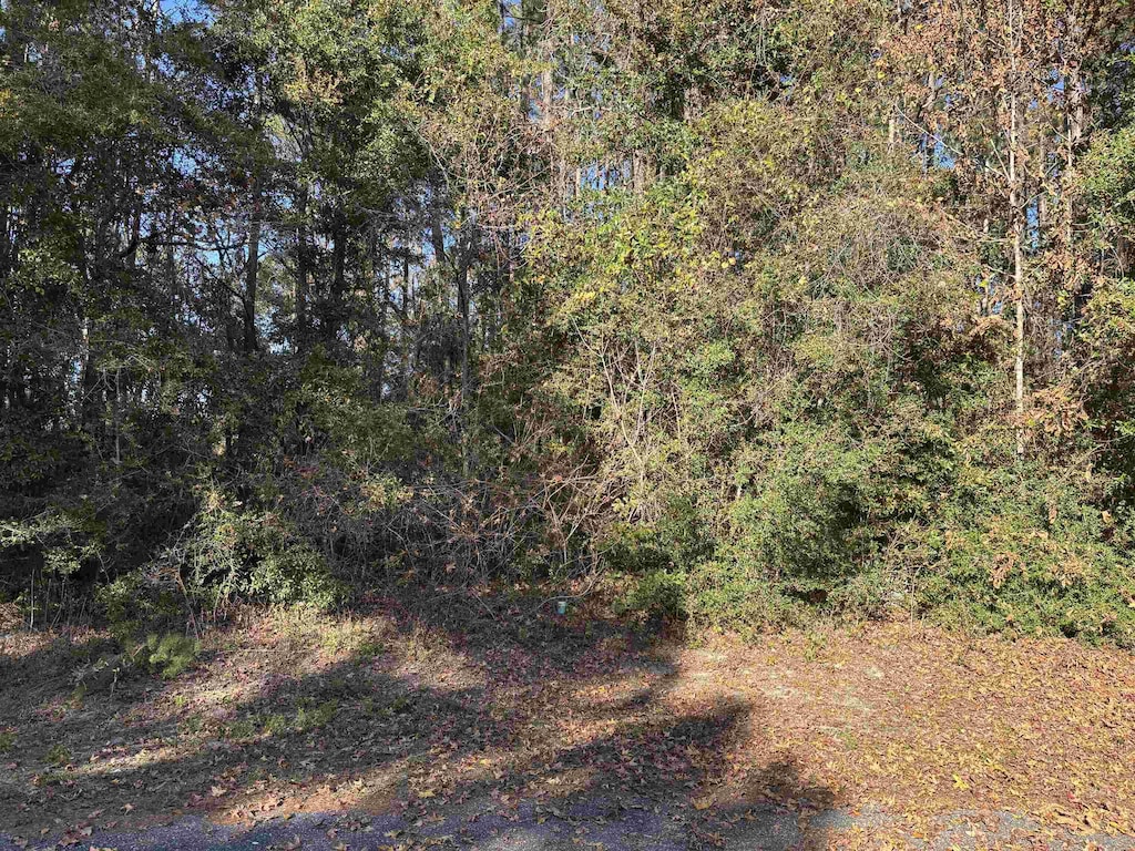 LOTS6 Magpie Trl, Crawfordville, FL 32327