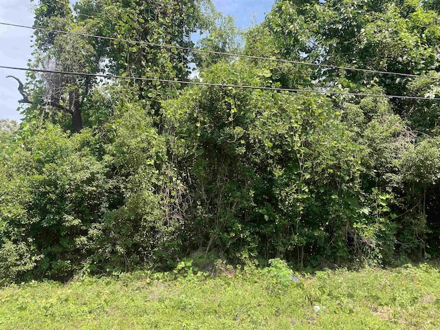 SE Osgood Ave, Madison, FL 32340 - photo 6