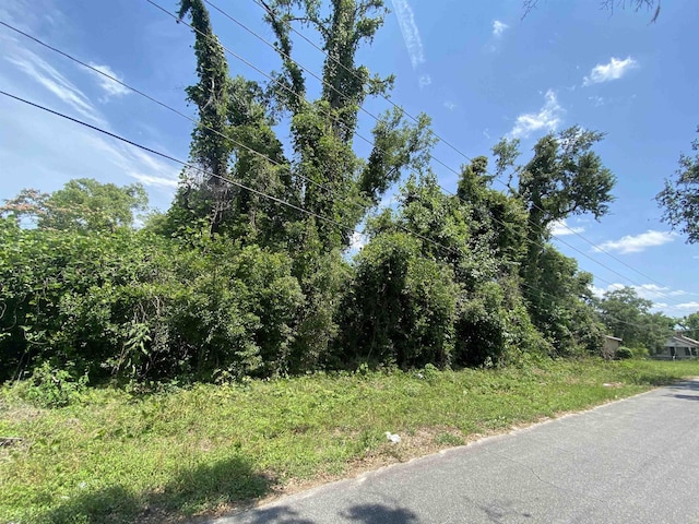 SE Osgood Ave, Madison, FL 32340 - photo 1