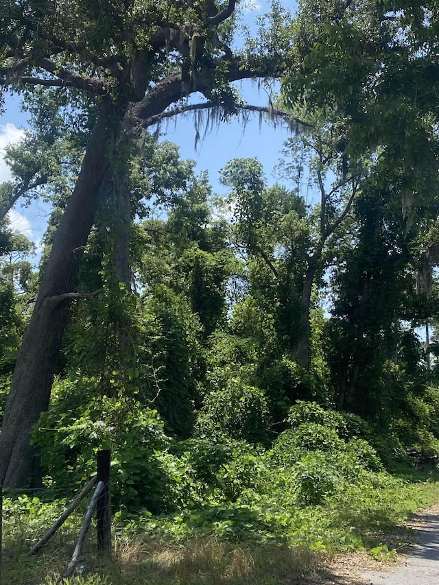 SE Osgood Ave, Madison, FL 32340 - photo 15