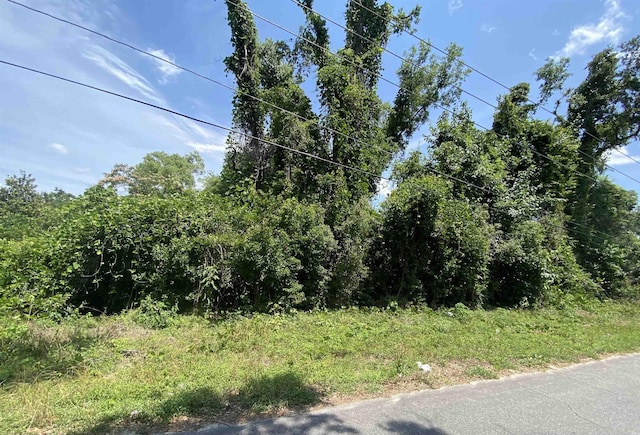 SE Osgood Ave, Madison, FL 32340 - photo 10