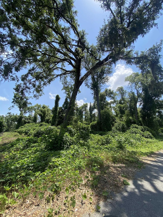 SE Osgood Ave, Madison, FL 32340 - photo 14