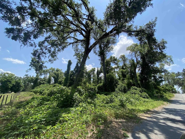 SE Osgood Ave, Madison, FL 32340 - photo 11