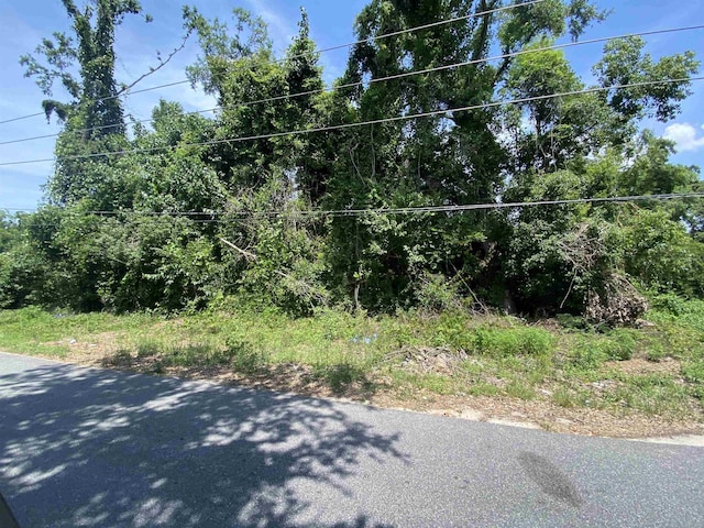 SE Osgood Ave, Madison, FL 32340 - photo 8