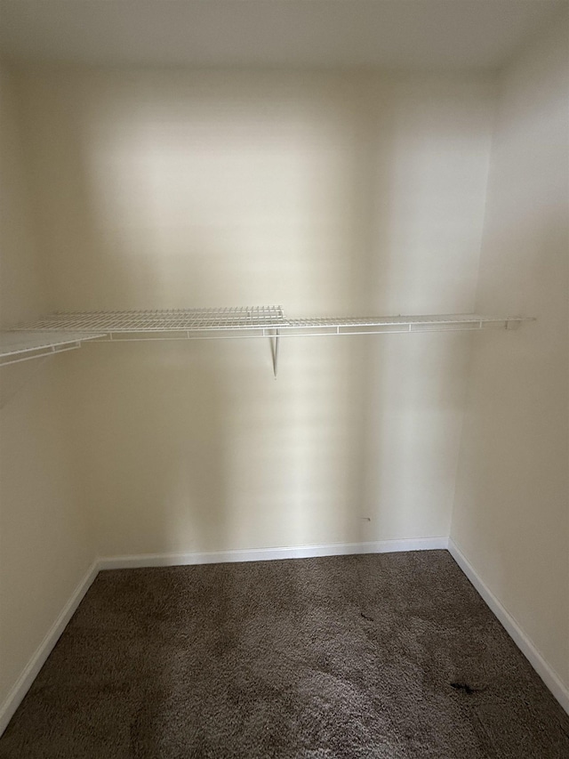360 Chastain Ln, Tallahassee, FL 32305 - photo 9