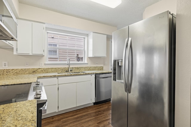 3068 Royal Palm Way, Tallahassee, FL 32309 - kitchen with appliances with stainless steel finishes, a sink, dark wood-style floors, white cabinetry, and extractor fan