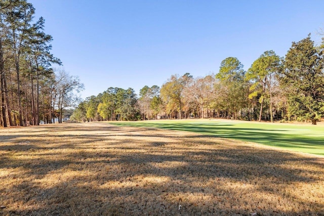 view of community featuring a lawn