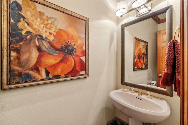 bathroom featuring ornamental molding and sink