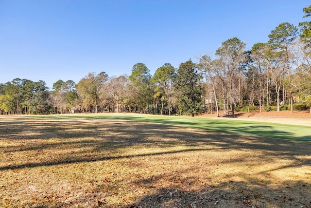 view of property's community featuring a yard