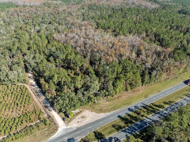 3621 E Capps Hwy, Lamont FL, 32336 land for sale