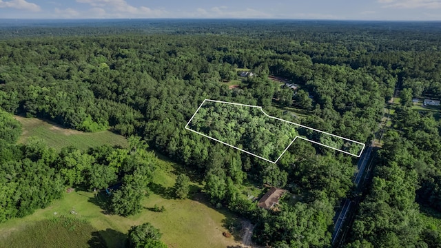 Jomaureen Way, Tallahassee, FL 32309 - photo 11