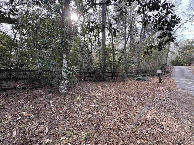 Jomaureen Way, Tallahassee, FL 32309 - photo 30