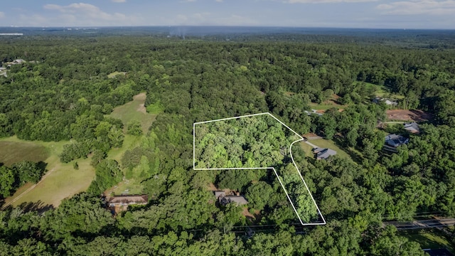 Jomaureen Way, Tallahassee, FL 32309 - photo 4