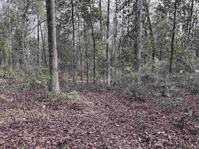 Jomaureen Way, Tallahassee, FL 32309 - photo 18