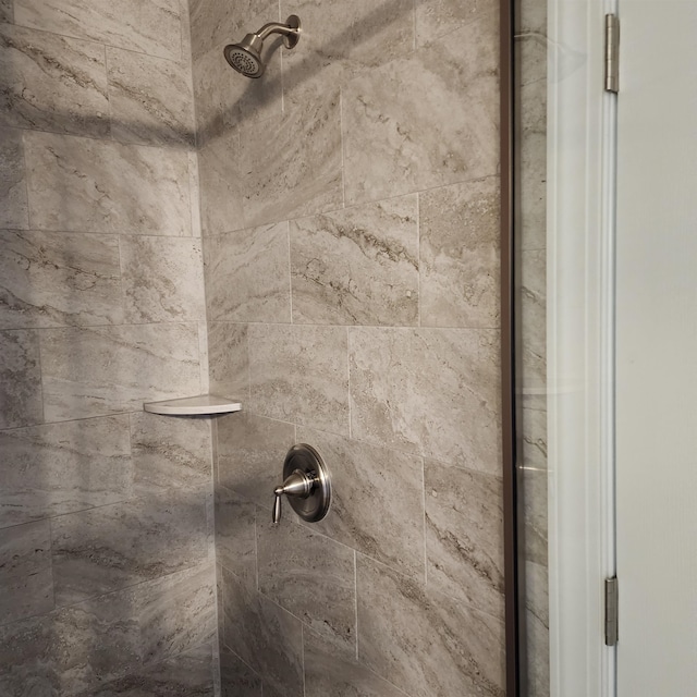 interior details with tiled shower