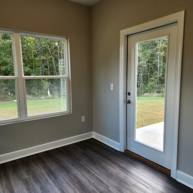 doorway with plenty of natural light and dark hardwood / wood-style floors