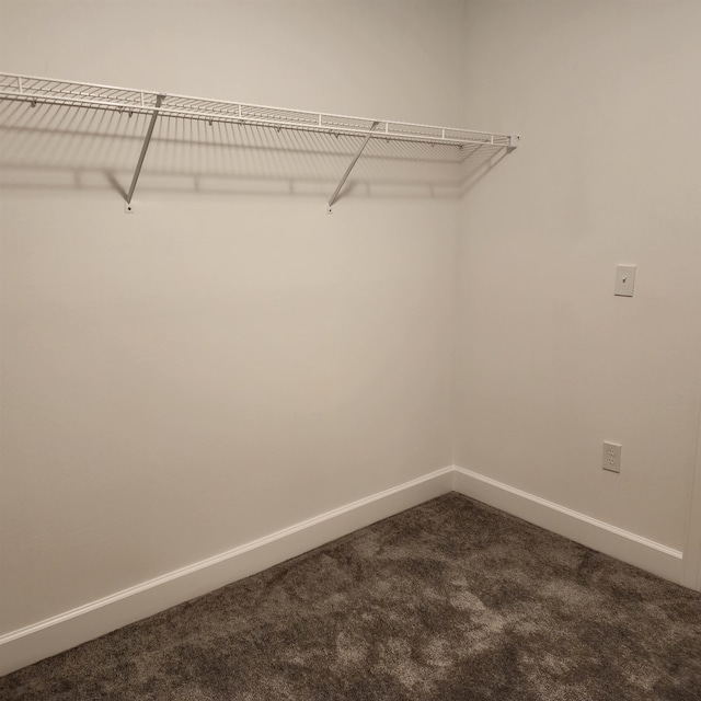 walk in closet with carpet flooring