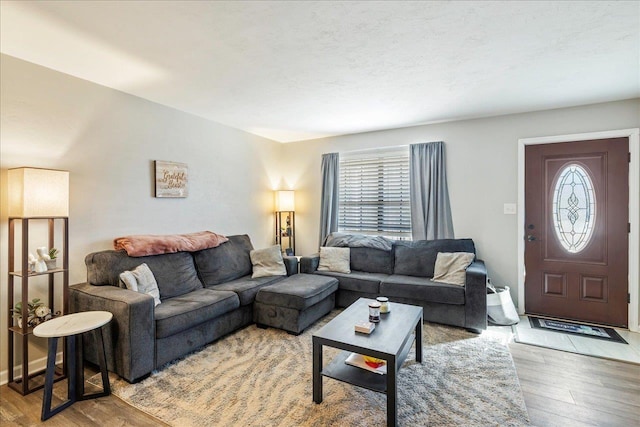 living room with a textured ceiling and hardwood / wood-style flooring