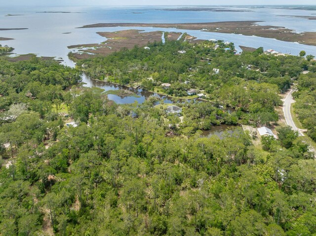 4095 Spring Creek Highway, Crawfordville, FL 32327 - photo 32